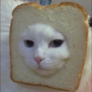 Meet your Posher, Alivia